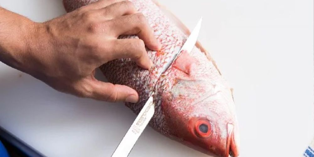 Cách cắt đầu cá đúng kỹ thuật, gọn gàng và không nát thịt