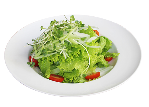 GREEN GARDEN SALAD