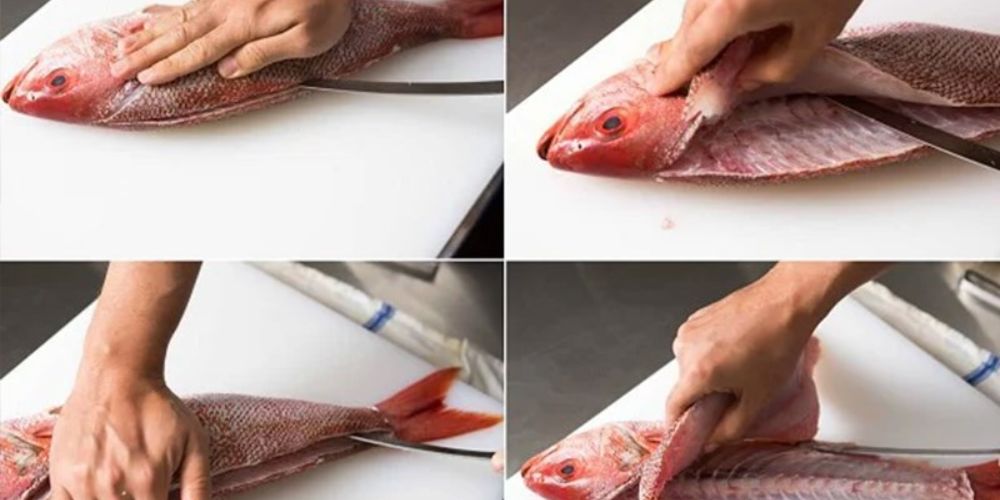 Phi lê cá từ trên xuống theo đường xương sống