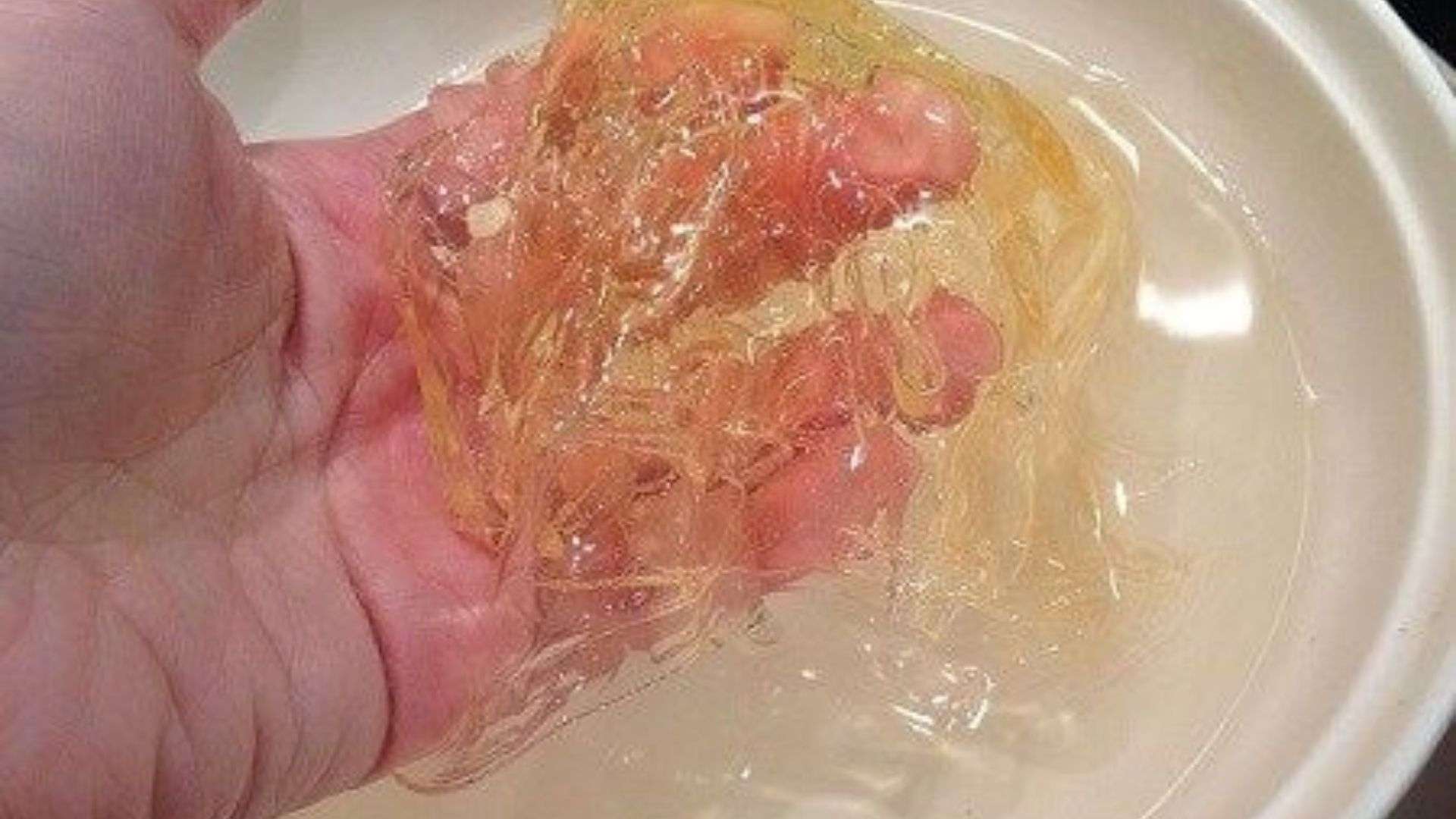 Ngâm gelatin trong nước lạnh cho nở mềm trước khi làm pudding