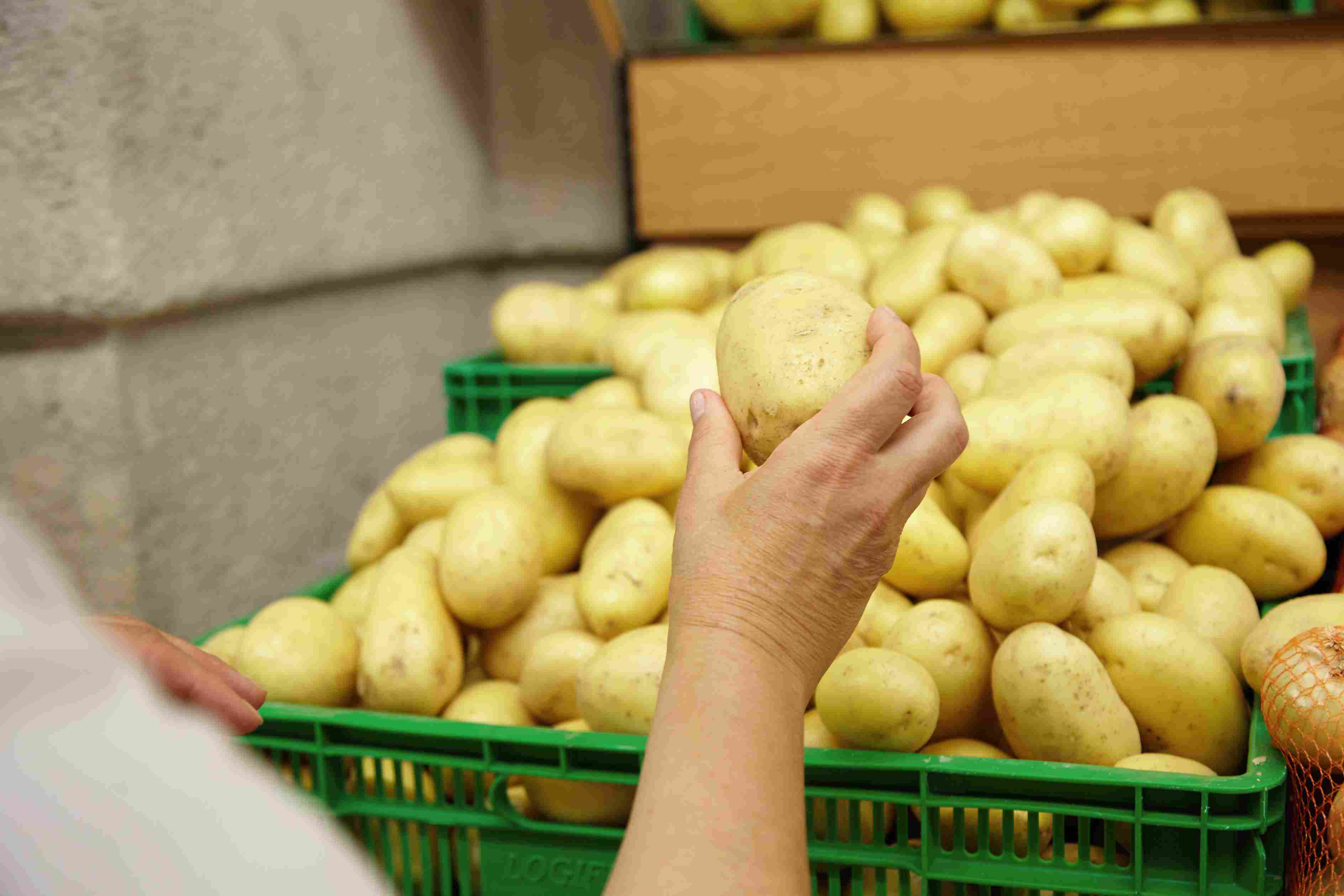 Lựa chọn loại khoai tây phù hợp