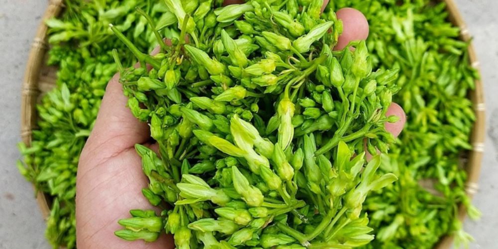 Hoa thiên lý là điểm nhấn của món salad tôm này