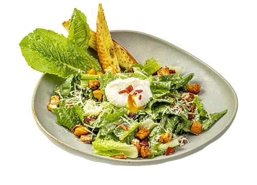 Caesar salad, một món khai vị thanh mát