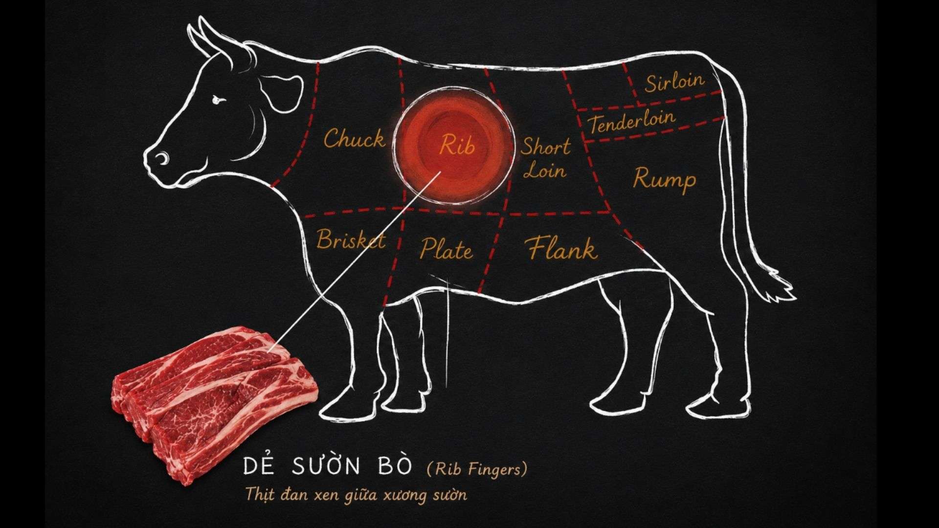 Vị trí dẻ sườn bò trên sơ đồ các phần thịt của con bò